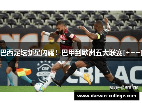 巴西足坛新星闪耀！巴甲到欧洲五大联赛[+++]