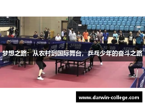 梦想之路：从农村到国际舞台，乒乓少年的奋斗之路